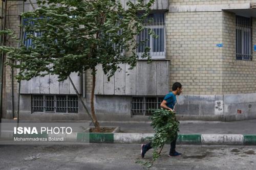 وزش باد شدید در تهران، تداوم افزایش دما