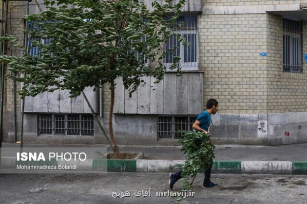 پیش بینی وزش باد در تهران تا ۵ روز آینده